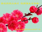 ֹ,ϴ󷨵ӹ編ִʦ𻪵(24)
