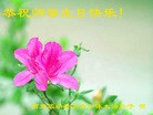ֹ,ϴ󷨵ӹ編ִʦ𻪵(24)
