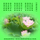 ���ֹ�,ʯ��ׯ�󷨵��ӹ������編�ִ�����ʦ�𻪵�(25��)
