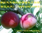 ֹ,󷨵ӹ編ִʦ𻪵(57)
