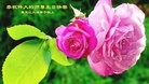 ֹ,󷨵ӹ編ִʦ𻪵(20)
