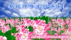 ֹ,󷨵ӹ編ִʦ𻪵(40)

