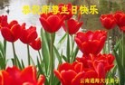 ֹ,ϴ󷨵ӹ編ִʦ𻪵(23)
