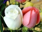 ֹ,󷨵ӹ編ִʦ𻪵(24)
