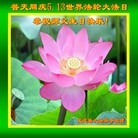 ���ֹ�,ʯ��ׯ�󷨵��ӹ������編�ִ�����ʦ�𻪵�(21��)
