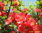 ֹ,󷨵ӹ編ִʦ𻪵(24)
