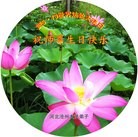 ���ֹ�,�ӱ��󷨵��ӹ������編�ִ�����ʦ�𻪵�(25��)
