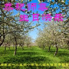 ���ֹ�,ʯ��ׯ�󷨵��ӹ������編�ִ�����ʦ�𻪵�(29��)
