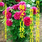 ���ֹ�,�����󷨵��ӹ������編�ִ�����ʦ�𻪵�(20��)
