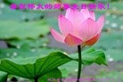 ֹ,󷨵ӹ編ִʦ𻪵(20)
