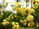 ֹ,󷨵ӹ編ִʦ𻪵(20)
