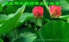 ֹ,󷨵ӹ編ִʦ𻪵(20)
