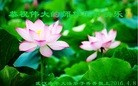 ֹ,󷨵ӹ編ִʦ𻪵(20)
