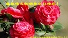 ֹ,󷨵ӹ編ִʦ𻪵(20)
