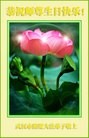 ֹ,󷨵ӹ編ִʦ𻪵(20)

