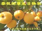 ֹ,󷨵ӹ編ִʦ𻪵(20)
