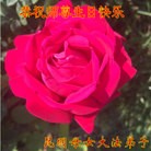 ֹ,ϴ󷨵ӹ編ִʦ𻪵(18)
