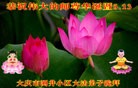ֹ,󷨵ӹ編ִʦ𻪵(20)
