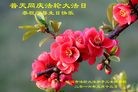 ֹ,人󷨵ӹ編ִʦ𻪵(24)
