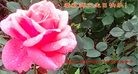 ֹ,󷨵ӹ編ִʦ𻪵(26)
