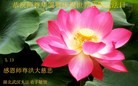 ֹ,人󷨵ӹ編ִʦ𻪵(24)
