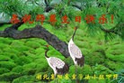 ֹ,󷨵ӹ編ִʦ𻪵(23)

