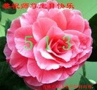 ���ֹ�,�����д󷨵��ӹ������編�ִ�����ʦ�𻪵�(23��)
