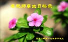 ֹ,󷨵ӹ編ִʦ𻪵(19)
