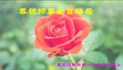 ֹ,󷨵ӹ編ִʦ𻪵(19)
