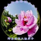 ���ֹ�,�ӱ��󷨵��ӹ������編�ִ�����ʦ�𻪵�(22��)
