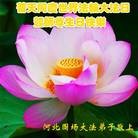 ���ֹ�,�ӱ��󷨵��ӹ������編�ִ�����ʦ�𻪵�(22��)
