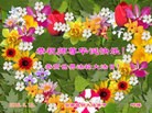 ֹ,ϴ󷨵ӹ編ִʦ𻪵(20)
