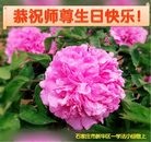 ���ֹ�,ʯ��ׯ�󷨵��ӹ������編�ִ�����ʦ�𻪵�(36��)
