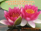 ֹ,󷨵ӹ編ִʦ𻪵(23)
