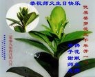 ֹ,󷨵ӹ編ִʦ𻪵(25)
