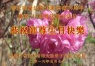 ֹ,ľ˹󷨵ӹ編ִʦ𻪵(20)
