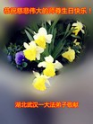 ֹ,人󷨵ӹ編ִʦ𻪵(29)
