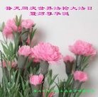 ���ֹ�,��ɽ�󷨵��ӹ������編�ִ�����ʦ�𻪵�(22��)