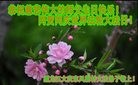 ֹ,󷨵ӹ編ִʦ𻪵(18)