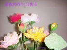 ֹ,人󷨵ӹ編ִʦ𻪵(25)
