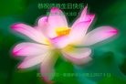ֹ,人󷨵ӹ編ִʦ𻪵(25)