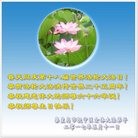 ���ֹ�,�ػʵ��󷨵��ӹ������編�ִ�����ʦ�𻪵�(23��)