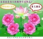 ֹ,󷨵ӹ編ִʦ𻪵(24)