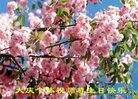 ֹ,󷨵ӹ編ִʦ𻪵(29)