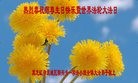 ֹ,󷨵ӹ編ִʦ𻪵(20)