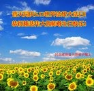 ���ֹ�,�����󷨵��ӹ������編�ִ�����ʦ�𻪵�(24��)