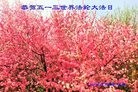ֹ,󷨵ӹ編ִʦ𻪵(27)