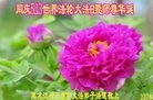 ֹ,󷨵ӹ編ִʦ𻪵(20)