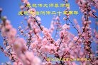 ֹ,ľ˹󷨵ӹ編ִʦ𻪵(25)