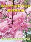 ֹ,ľ˹󷨵ӹ編ִʦ𻪵(25)